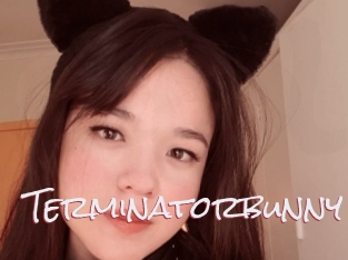 Terminatorbunny