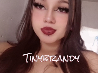 Tinybrandy