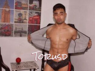 Torusd