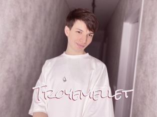 Troyemellet