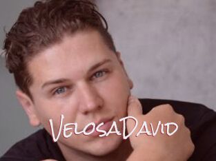 VelosaDavid