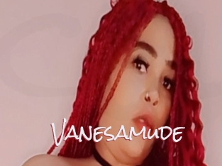 Vanesamude