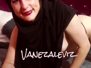 Vanezaleviz