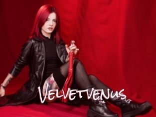 Velvetvenus