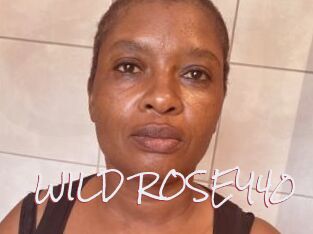 WILD_ROSEY40