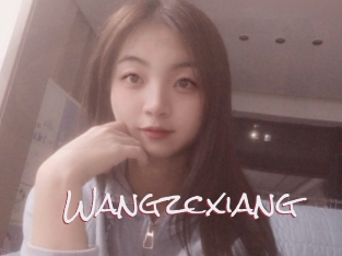 Wangzcxiang