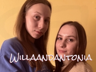 Willaandantonia